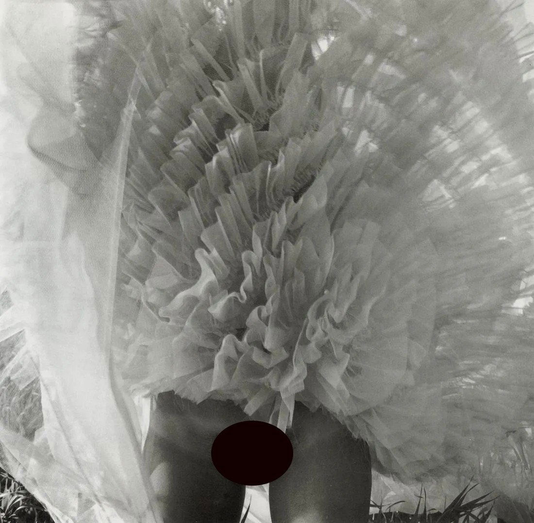 SANDI FELLMAN - From the Series "Secrets", 1977: Artist: Sandi Fellman Title: From the Series "Secrets", 1977 Medium: Photo Litho, 1996, Italy Dimensions: 8.95x8.75" Description: Heat Wax Mounted on 11x14" Conservation Board Artist Bio: Sandi Fellma