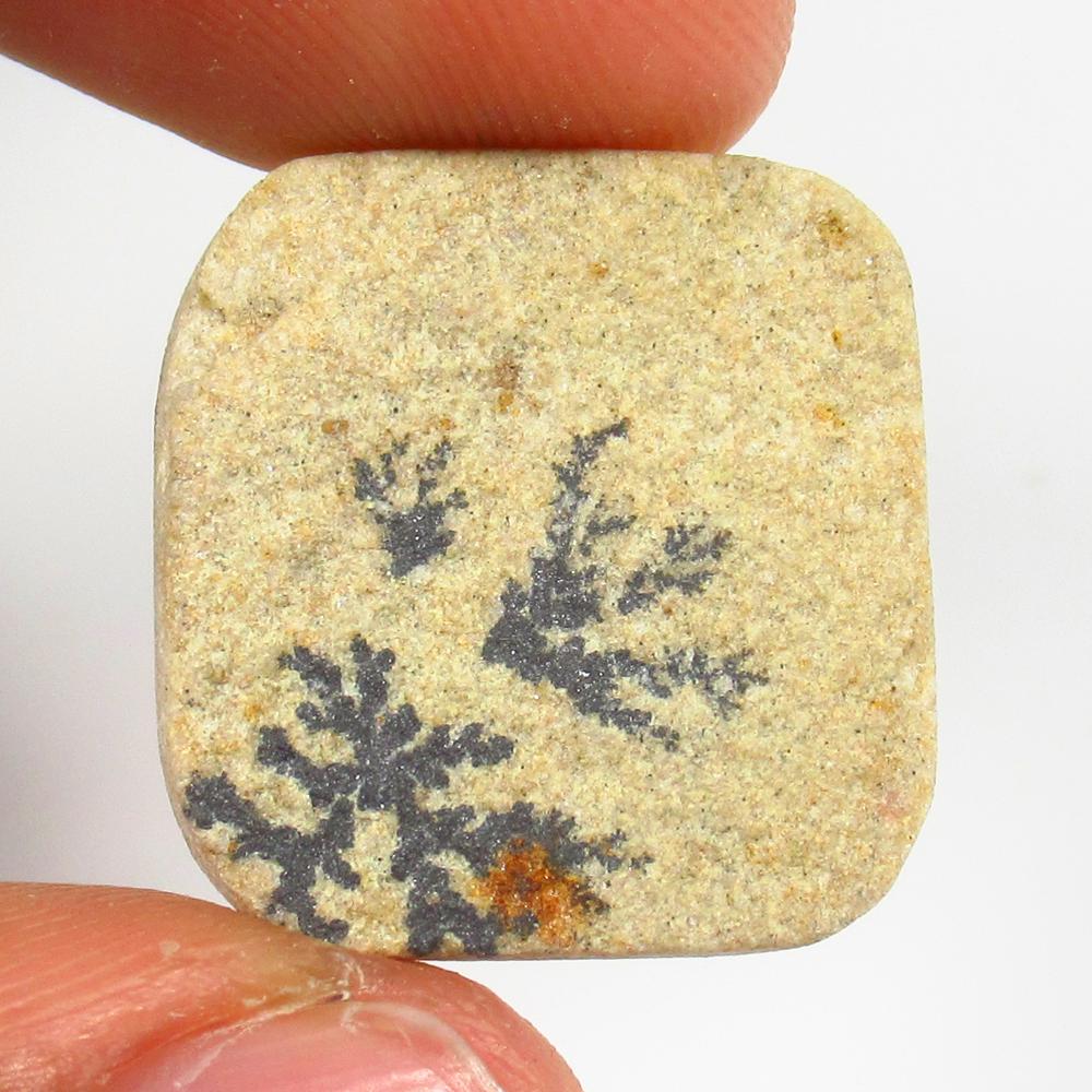 Natural Jasper Quartz - 16.11 Ct: No Reserve! Title: Natural Jasper Quartz - 16.11 Ct Origin: Brazil Weight: 16.11 Size/Dimensions: 21.0 x 21.0 x 4.0 mm Additional Information: Pieces : 1 No's / Shape : Cushion Cabochon / Color : Whit