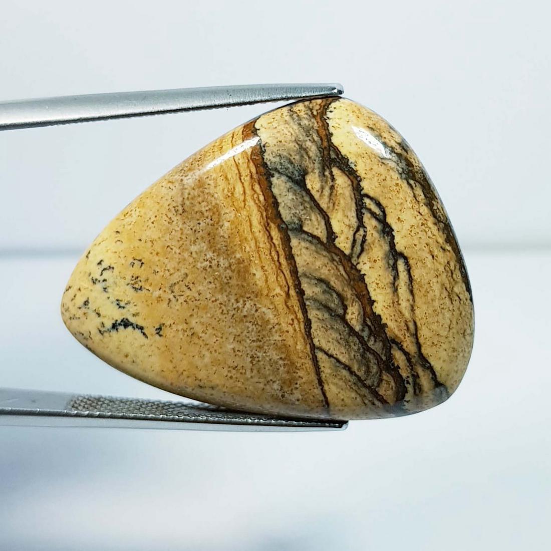 36.07 Ctz Natural Picture Jasper: No Reserve! Title: 36.07 Ctz Natural Picture Jasper Color/Clarity: Brown Mix / Opaque Gemstones: Jasper Carat Weights: 36.07 Size/Dimensions: 31.85 x 25.20 x 5.80 Additional Information: Pear / Brazil