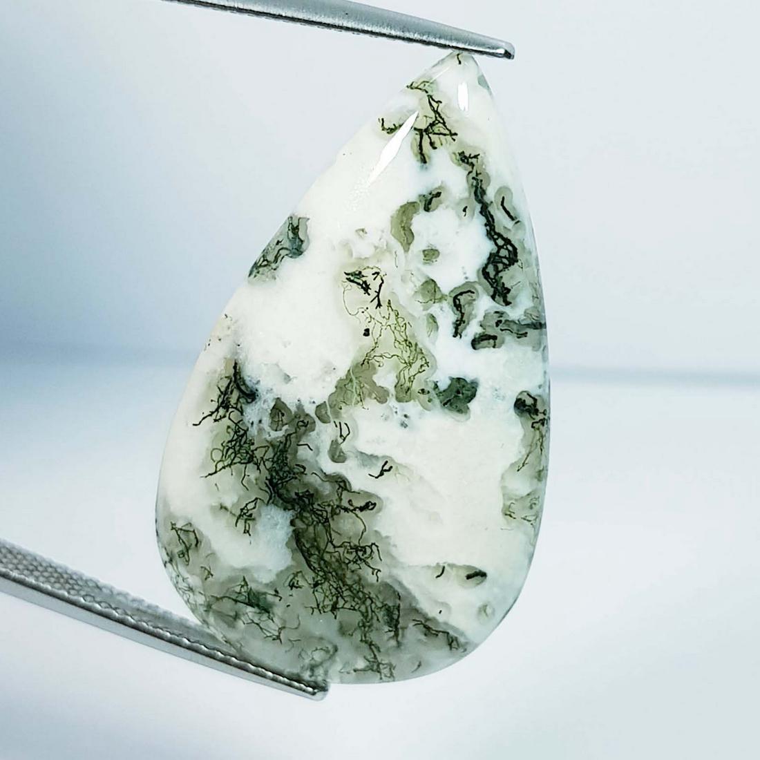 22.19 Ctz Natural Tree Jasper (1 of 4)