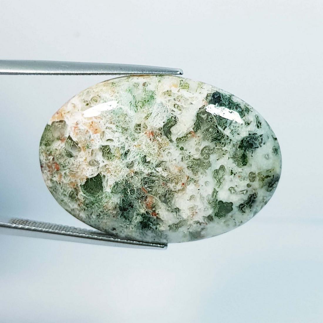 39.34 Ctz Natural Tree Jasper (1 of 4)