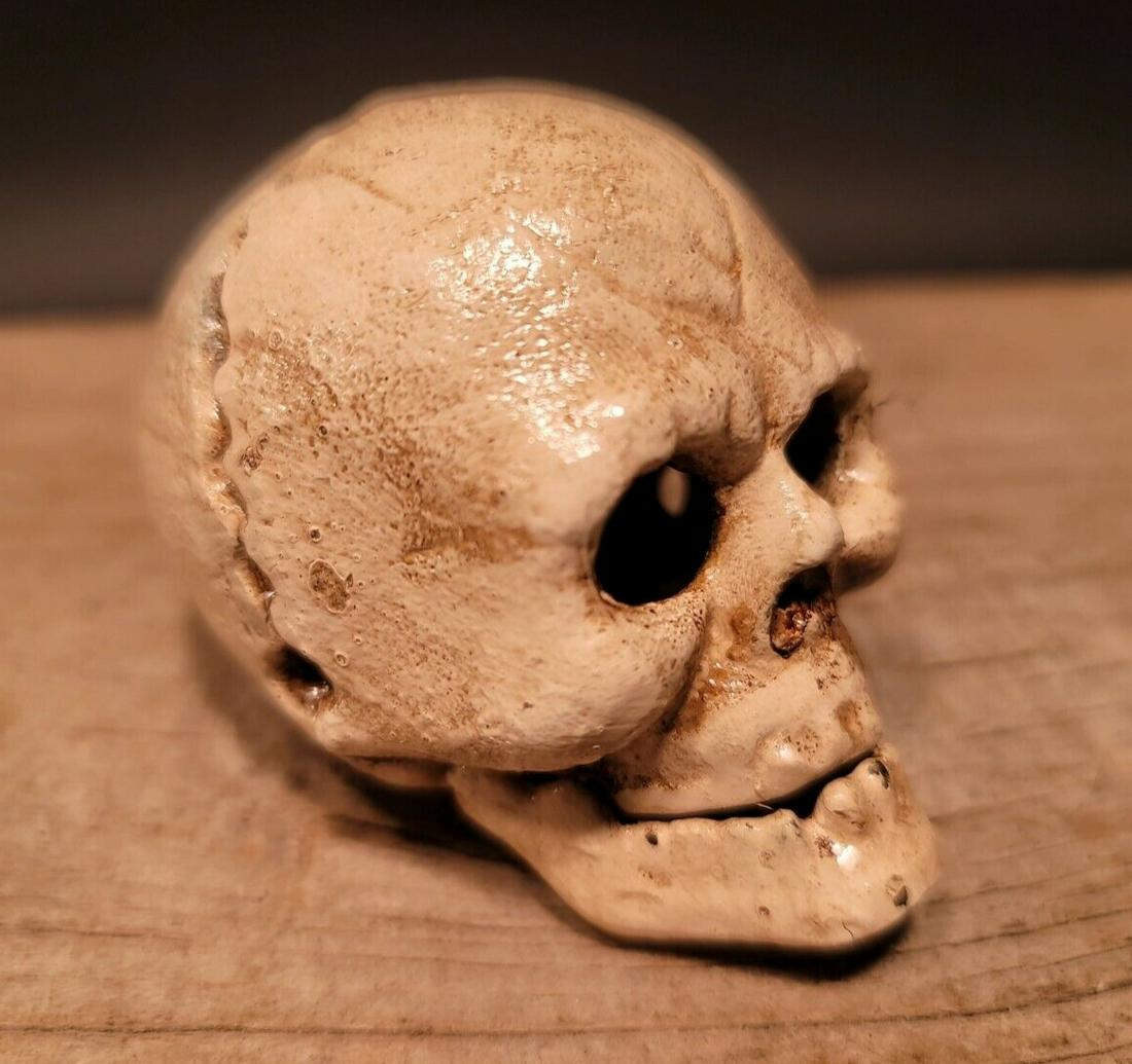 Cast Iron Skull Skeleton Bottle Opener Moving Jaw (1 of 12)