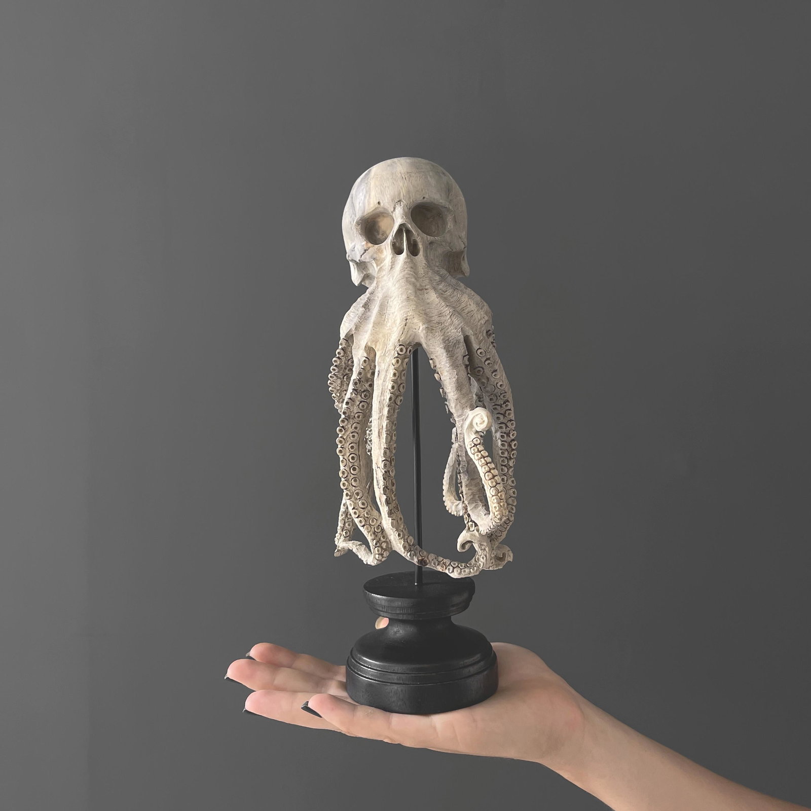 Tamarind Wood Skull with hand-carved tentacles: Title: Tamarind Wood Skull with hand-carved tentacles Maker: Unknown Origin: Indonesia Date/Period: 2022 Materials: Tamarindus, Wood, Steel Dimensions:Height including stand: 28 cm / 11 inches W: 10 c