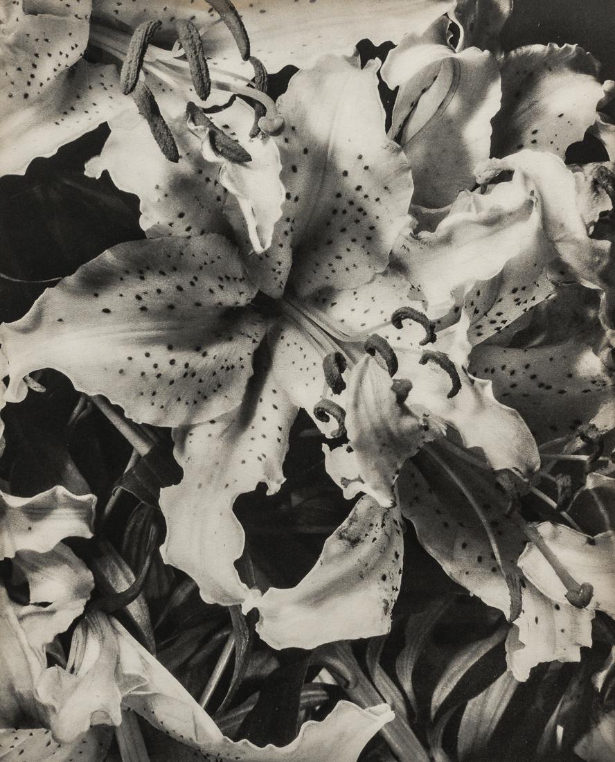 HENRY FLANNERY - Lillies, 1930: Artist: Henry Flannery Title: Lillies, 1930 Medium: Sheet Fed Gravure, 1931, France Dimensions: 9.05x11.2" Description: Heat Wax Mounted on 12x16" Conservation Board Reserve: $45.00 Shipping: Domestic