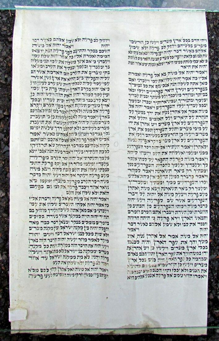 TORAH SCROLL FRAGMENT MANUSCRIPT VELLUM ANTIQUE European Poland BIBLE 12.5x20.5" (1 of 4)