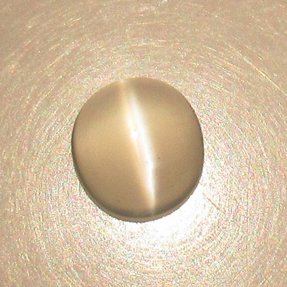 1.58 Ctw Natural Moonstone Oval Cab: No Reserve! Title: 1.58 Ctw Natural Moonstone Oval Cab Stone Clarity: Semi-Transparent Gemstones: Natural Moonstone Carat Weights: 1.58 Size/Dimensions: 7.80 x 7.40 x 3.90 mm Additional Information: N
