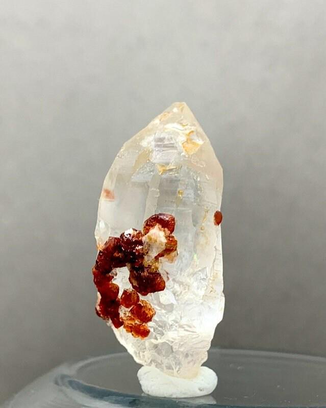 17 Grams Lovely natural red Almandine Garnet Bunch Crystals with Quartz Specimen From Sakrdu (1 of 10)