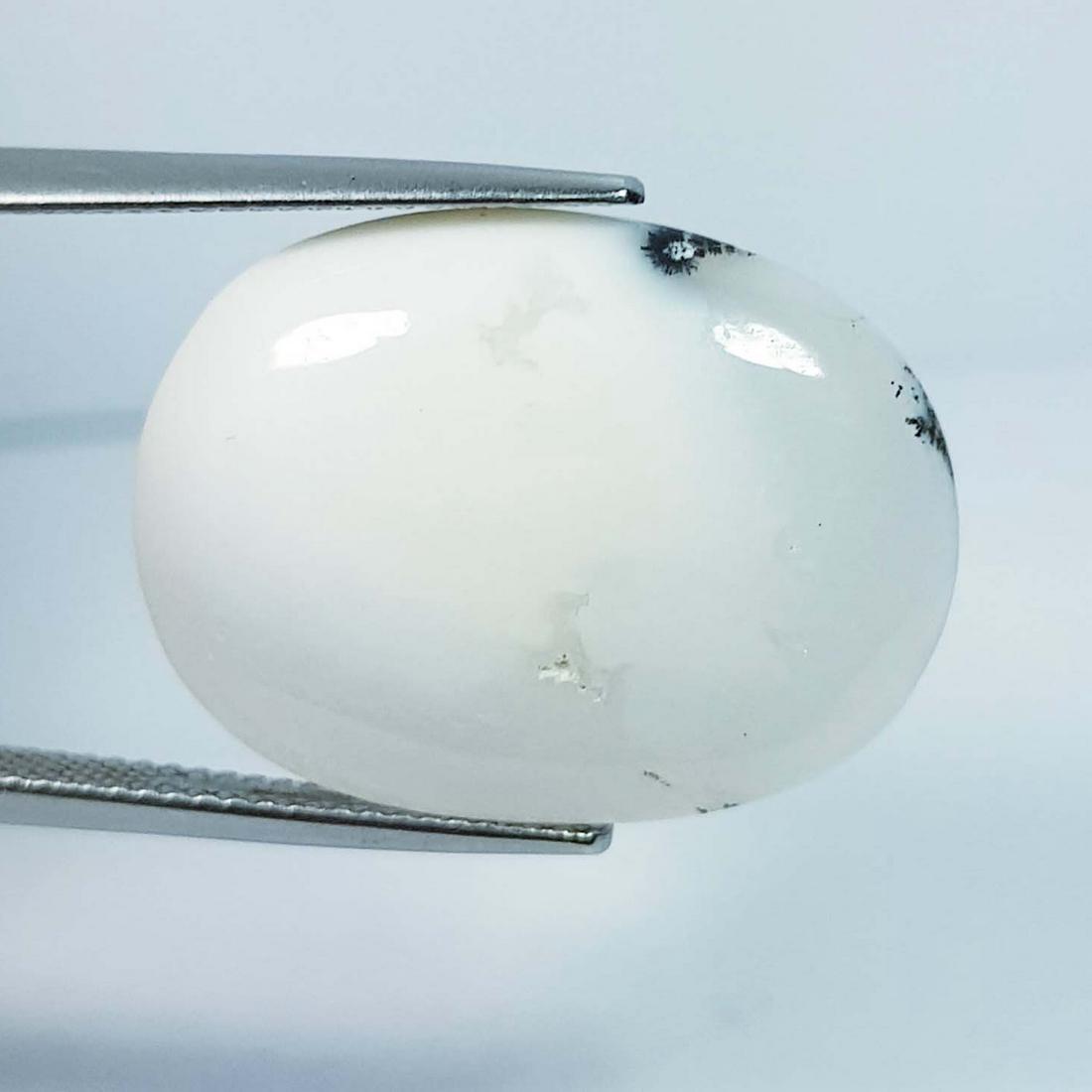 17.47 Ctz Natural Fine Quality Dendritic Opal (1 of 4)