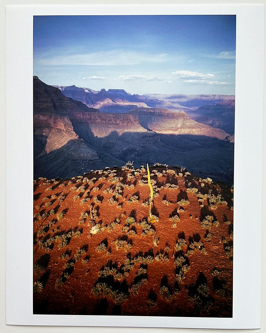 Joel Meyerowitz: Grand Canyon, Arizona, 1973: Artist: Joel Meyerowitz Title: Grand Canyon, Arizona, 1973 Additional Information: 8" x 10" pigment print photograph, edition of 70 signed and numbered verso Reserve: $450.00 Shipping: Domestic: Flat-
