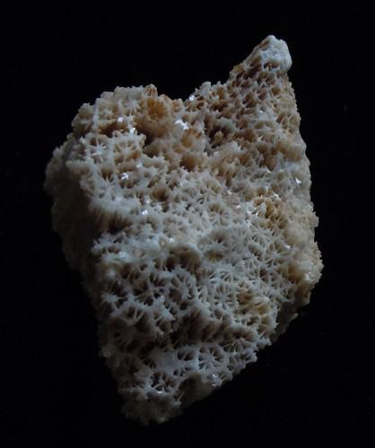 CORAL FOSSIL: Title: CORAL FOSSIL Origin: Panglao, Bohol, Visayas, Philippines Size: 3x3x2 cm / 15 gram Description: calcite crystals replacing fossil corals Reserve: $10.00 Shipping: Domestic: Flat-rate of $6.00