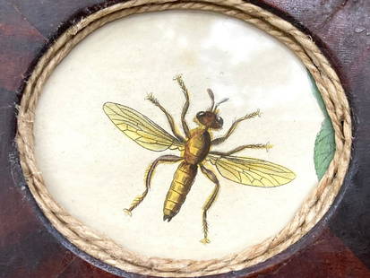 Sweet fragment of a 19thc hand colored bee engraving: In a 19thc worn mahogany veneered frame. Approximately 4 1/8” x 4 3/4”. Shipping:Domestic: Flat-rate of $12.00 to anywhere within the contiguous U.S.International: Foreign shipping rates