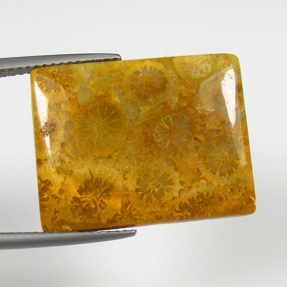 Natural Jasper Quartz - 13.52 Ct: No Reserve! Title: Natural Jasper Quartz - 13.52 Ct Origin: Brazil Weight: 13.52 Size/Dimensions: 22.0 x 18.0 x 4.0 m Additional Information: Pieces : 1 No's / Shape : Rectangle Cabochon / Color : Yel