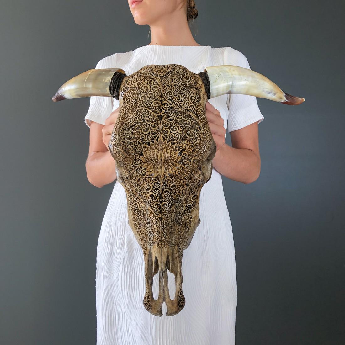 Hand carved brown bull skull - Lotus motif: Title: Hand carved brown bull skull - Lotus motif Maker: Unknown Origin: Indonesia Date/Period: 2022 Materials: Bos Taurus, Bone, Horn Dimensions:Height: 51 cm / 20 inches Width: 59 cm / 23.2 inches D