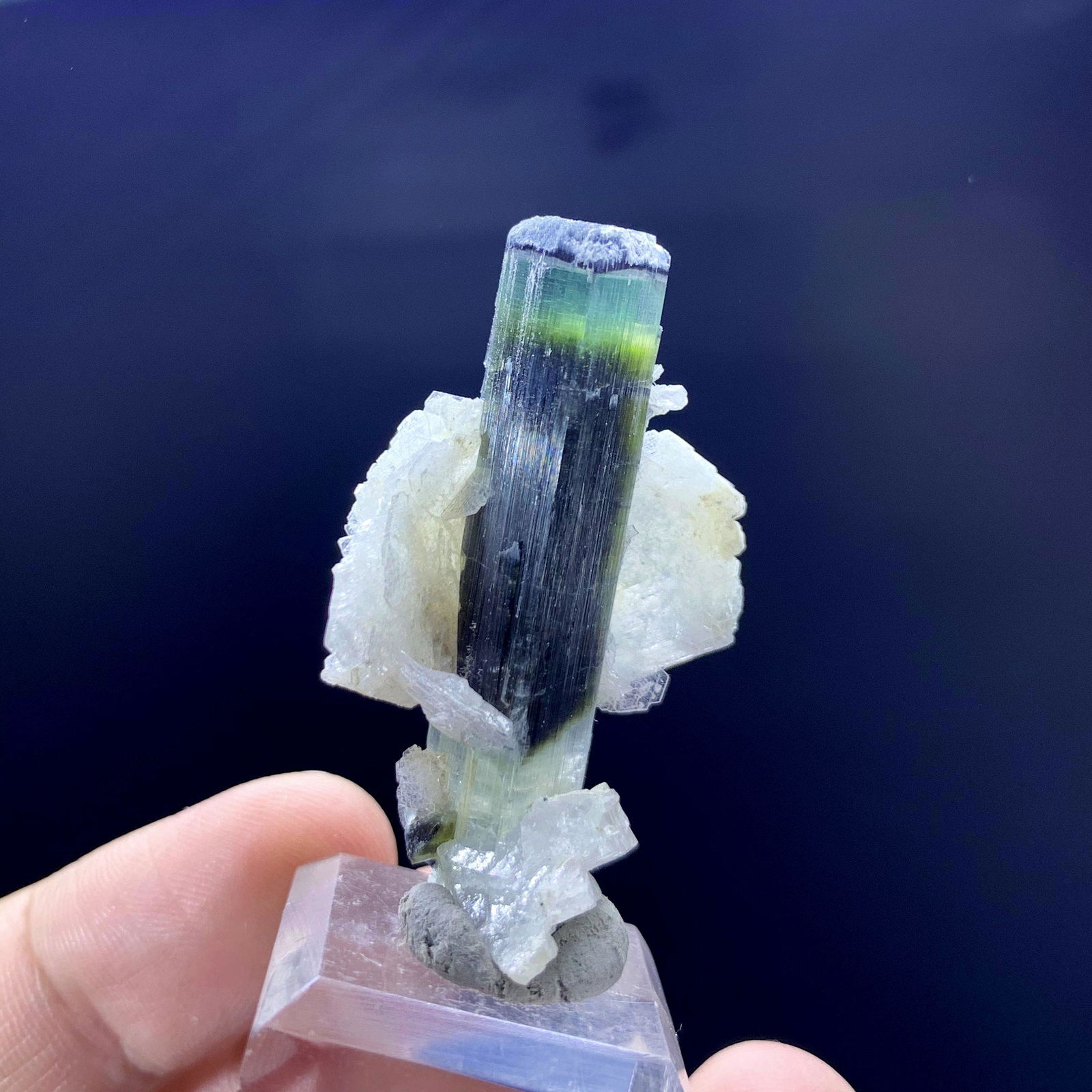 Green Cap Tourmaline Crystal with White Cleavelandite Specimen, Natural Tourmaline var Elbaite (1 of 6)