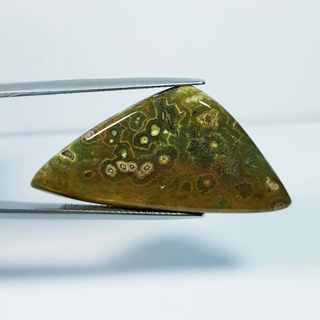 29.71 ctz" Natural Ocean Jasper: No Reserve! Title:29.71 ctz" Natural Ocean Jasper Color/Clarity:Green / Opaque Gemstones:Jasper Carat Weights:29.71 Size/Dimensions:39.80 x 19.50 x 5.40 Additional Information:Fancy / Brazil Shipping:
