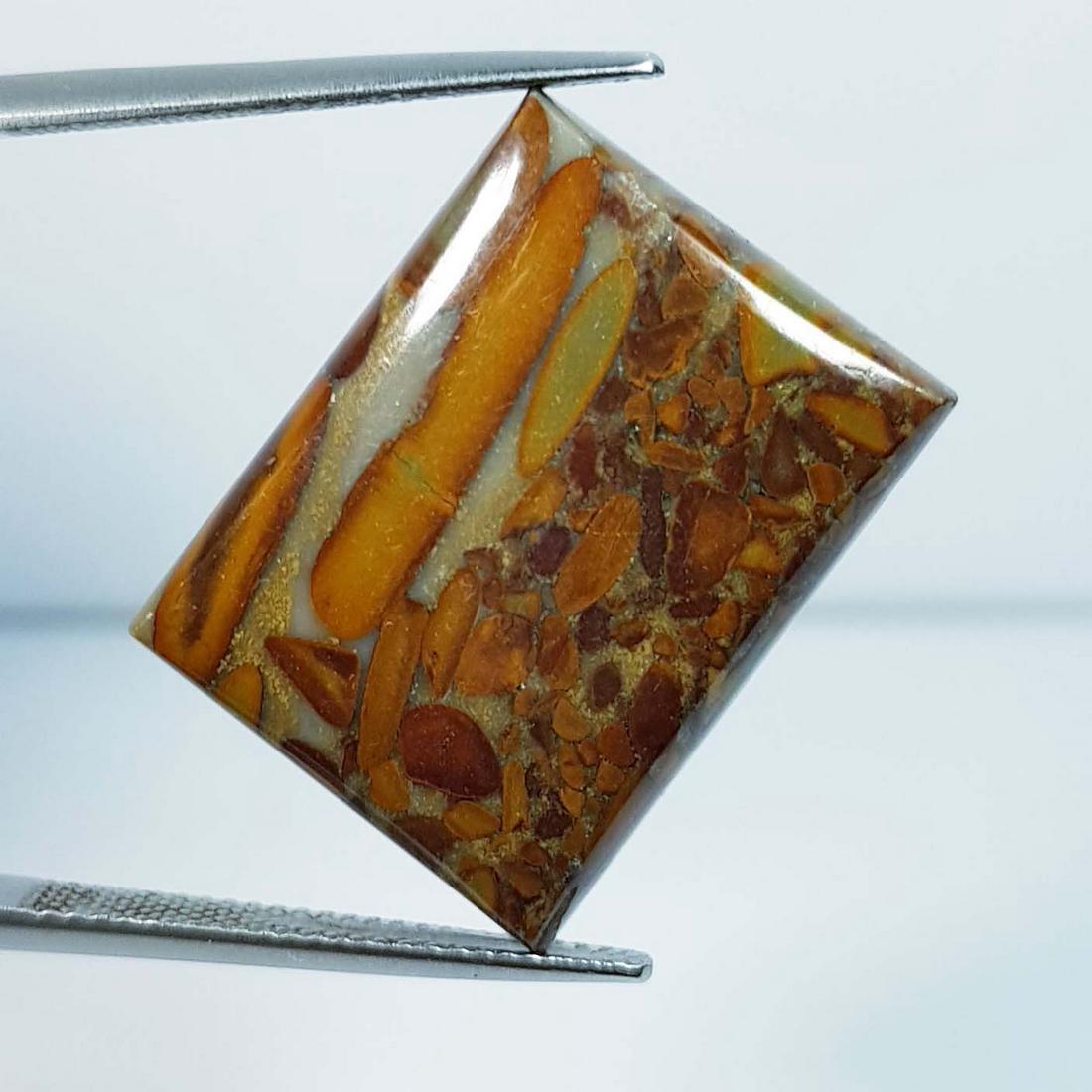 21.20 Ctz Natural Ajebolite Jasper (1 of 4)
