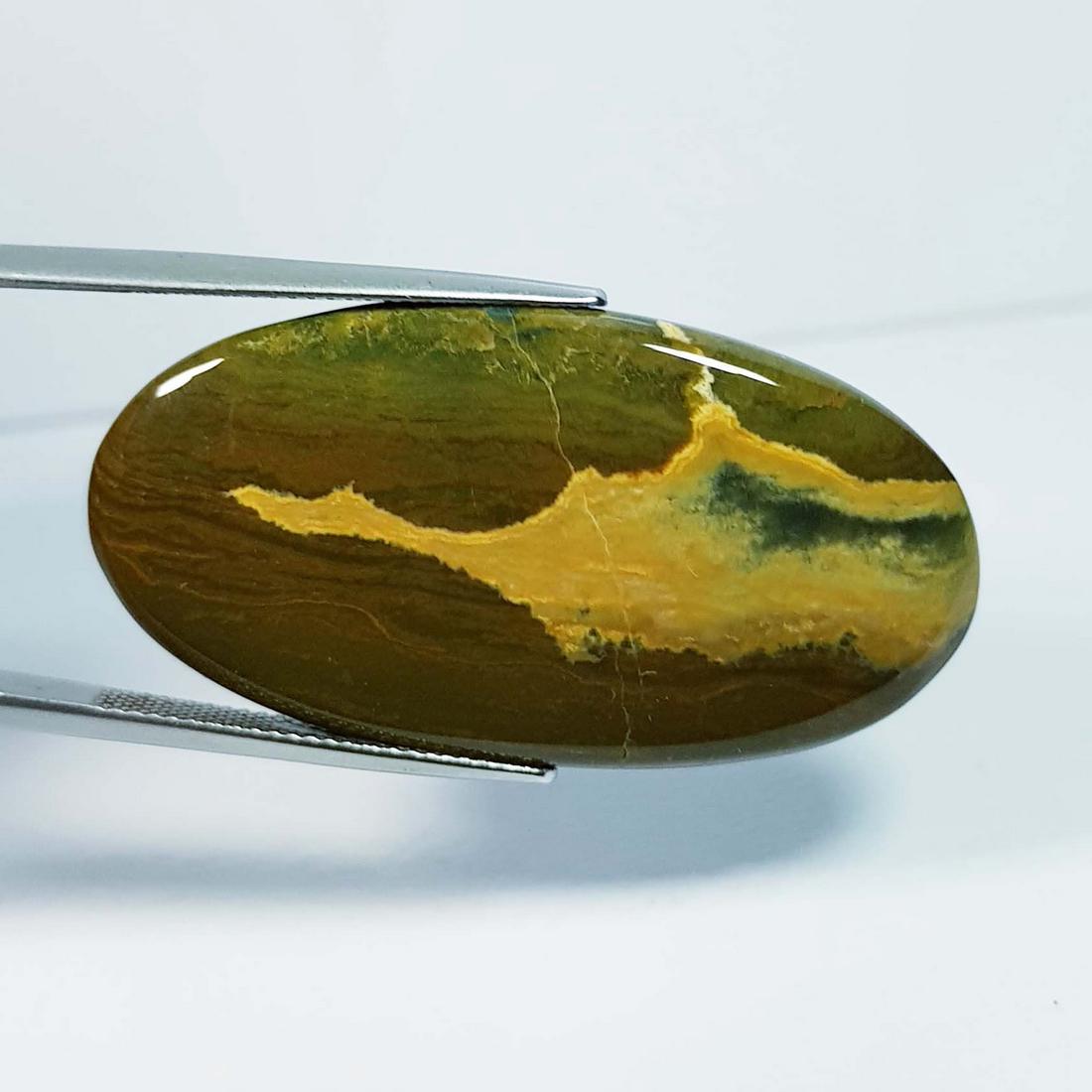 32.20 ctz" Natural Ocean Jasper: No Reserve! Title:32.20 ctz" Natural Ocean Jasper Color/Clarity:Green / Opaque Gemstones:Jasper Carat Weights:32.2 Size/Dimensions:14.85 x 21.65 x 4.00 Additional Information:Oval / Brazil Shipping:<
