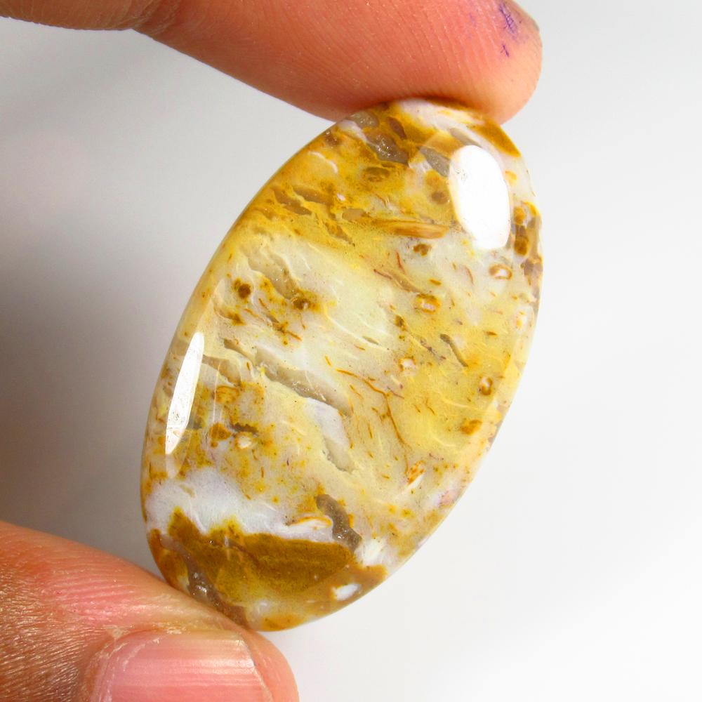 Natural Jasper Quartz - 30.06 Ct: No Reserve! Title: Natural Jasper Quartz - 30.06 Ct Origin: Brazil Weight: 30.06 Size/Dimensions: 35.0 x 20.0 x 5.0 mm Additional Information: Pieces : 1 No's / Shape : Oval Cabochon / Color : Orange