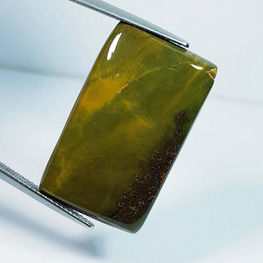 24.85 ctz" Natural Ocean Jasper: No Reserve! Title:24.85 ctz" Natural Ocean Jasper Color/Clarity:Green / Opaque Gemstones:Jasper Carat Weights:24.85 Size/Dimensions:28.80 x 17.75 x 4.70 Additional Information:Rectangle / Brazil Shipp