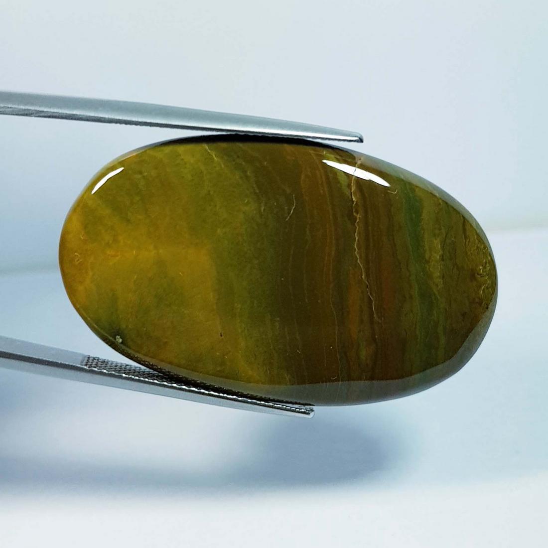 35.03 ctz" Natural Ocean Jasper: No Reserve! Title:35.03 ctz" Natural Ocean Jasper Color/Clarity:Green / Opaque Gemstones:Jasper Carat Weights:35.03 Size/Dimensions:35.65 x 24.05 x 4.00 Additional Information:Oval / Brazil Shipping: