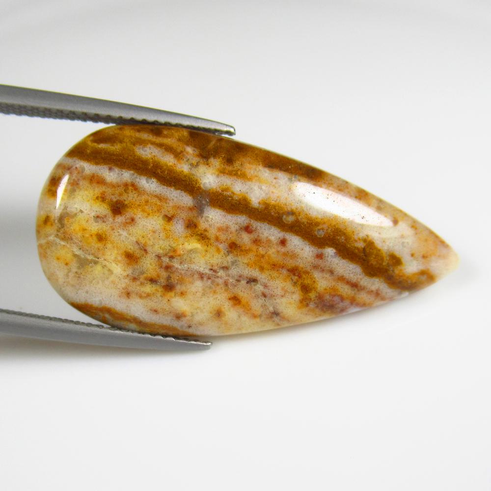 Natural Jasper Quartz - 17.08 Ct: No Reserve! Title: Natural Jasper Quartz - 17.08 Ct Origin: Brazil Weight: 17.08 Size/Dimensions: 34.0 x 16.0 x 4.8 mm Additional Information: Pieces : 1 No's / Shape : Pear Cabochon / Color : Orange