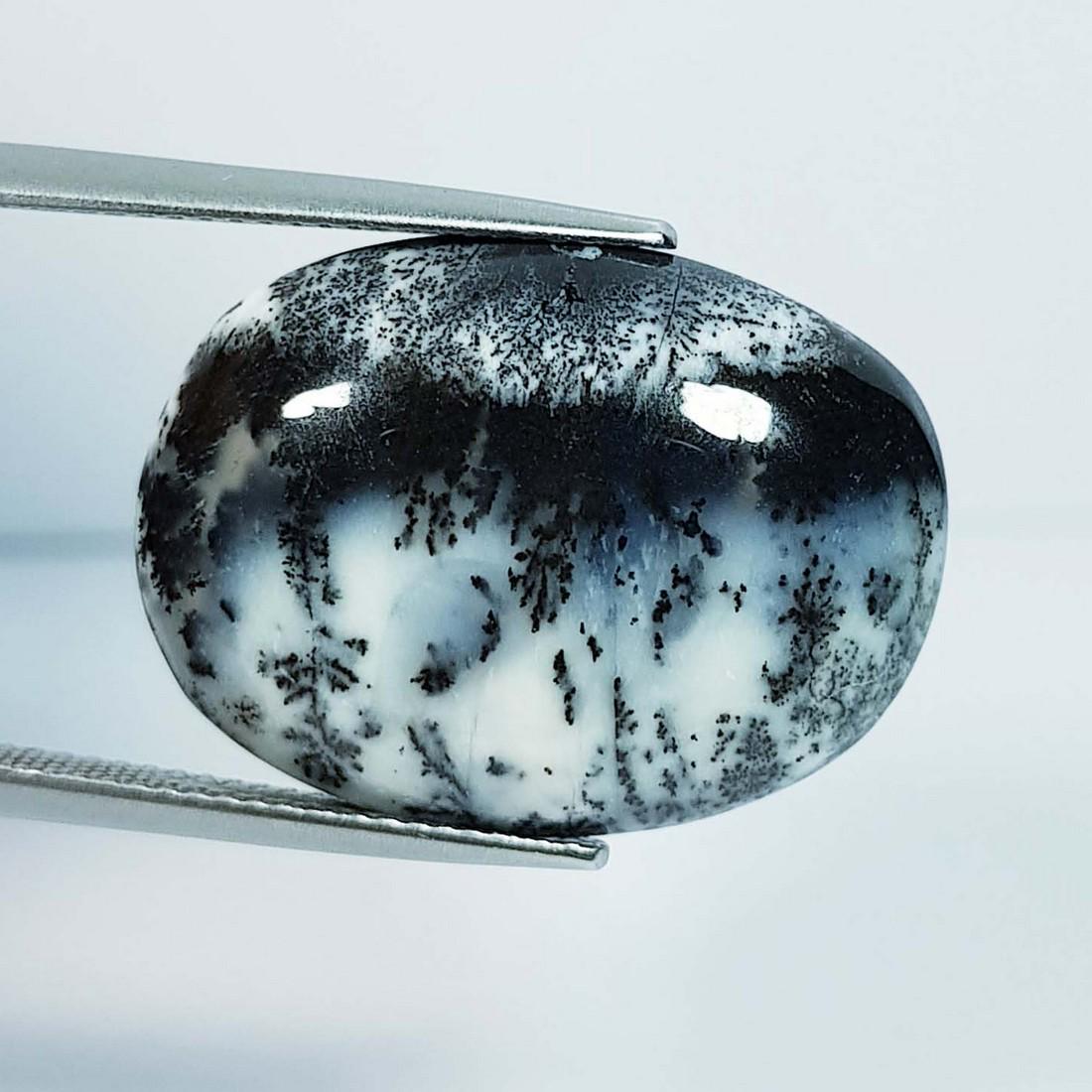 19.43 ctz Natural Dendritic Opal (1 of 4)