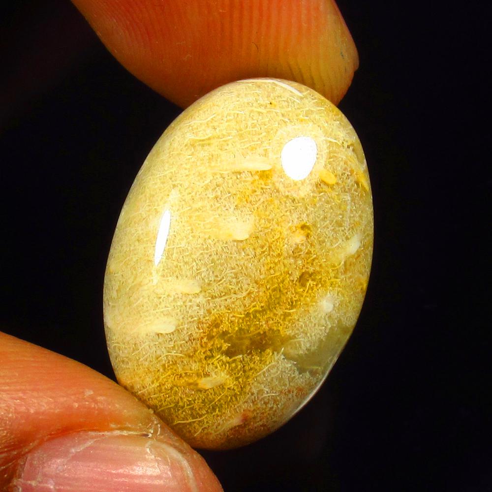 Natural Jasper Quartz - 16.84 Ct: No Reserve! Title: Natural Jasper Quartz - 16.84 Ct Origin: Brazil Weight: 16.84 Size/Dimensions: 23.0 x 15.0 x 6.7 mm Additional Information: Pieces : 1 No's / Shape : Oval Cabochon / Color : White /