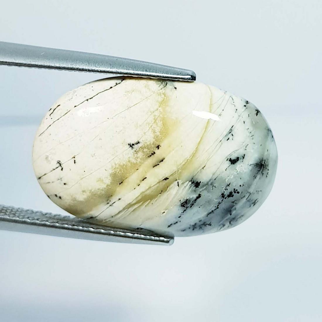 11.54 ctz Natural Dendritic Opal (1 of 4)