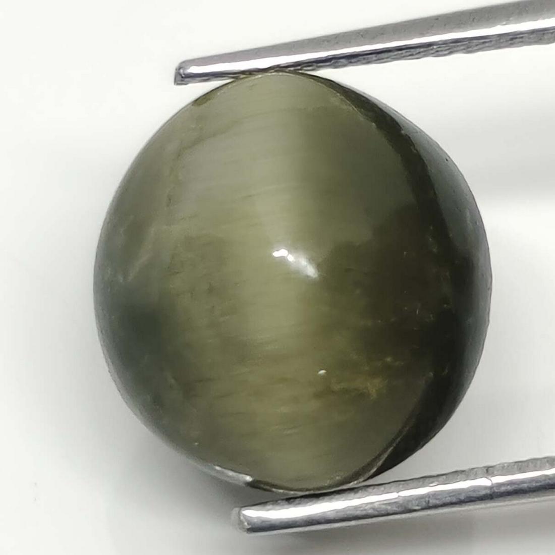 6.60 ct Natural Cat's Eye: No Reserve! Title: 6.60 ct Natural Cat's Eye Additional Information: Gemstones: Natural Cat's Eye Carat Weights: 6.60 ct Size/Dimensions: 11.30 X 10.60 X 8 mm Treatment: Colorless Oil Materials & Tech