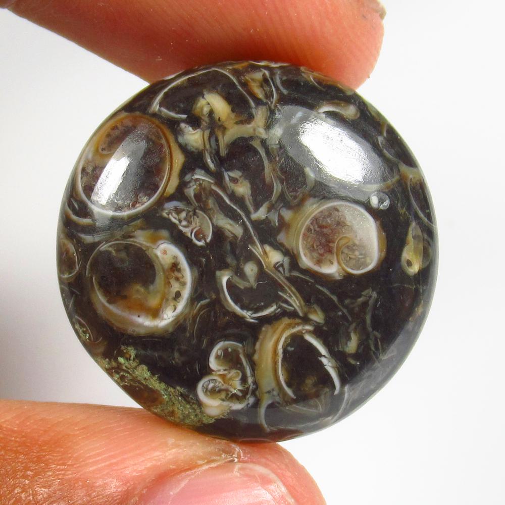 Natural Jasper Quartz - 27.38 Ct: No Reserve! Title: Natural Jasper Quartz - 27.38 Ct Origin: Brazil Weight: 27.38 Size/Dimensions: 24.0 x 24.0 x 6.1 mm Additional Information: Pieces : 1 No's / Shape : Round Cabochon / Color : Brown