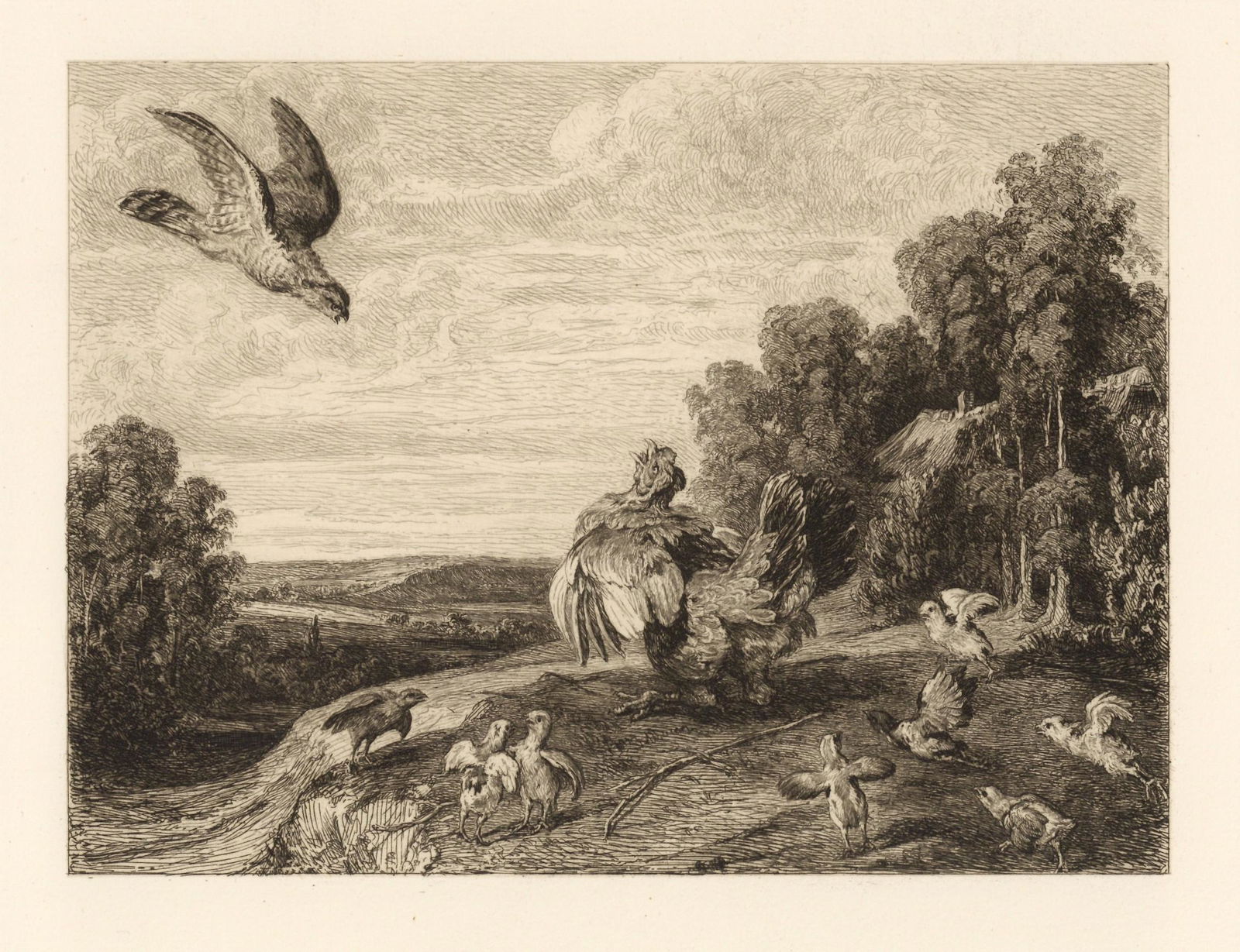 Frans Snyders | William Unger etching "Hen Guarding her Brood": Medium: etching. Etched by William Unger after Frans Snyders. This impression on on heavy wove paper was printed in 1880 for the "Etchers" portfolio. Plate size: 7 3/4 x 9 1/2 inches (198 x 240 mm). S