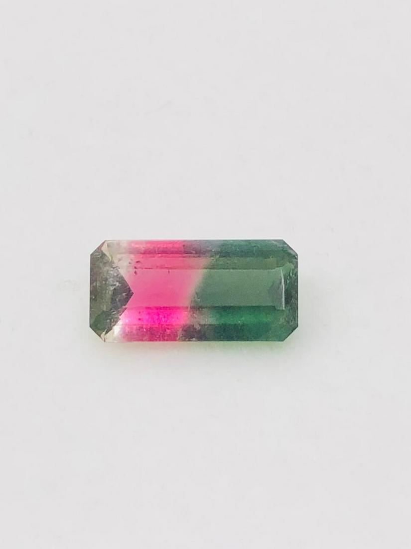 Watermelon TOurmaline (1 of 5)