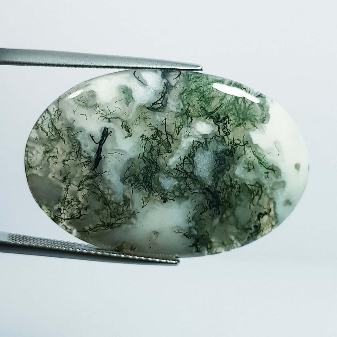 36.57 Ctz Natural Tree Jasper (1 of 4)