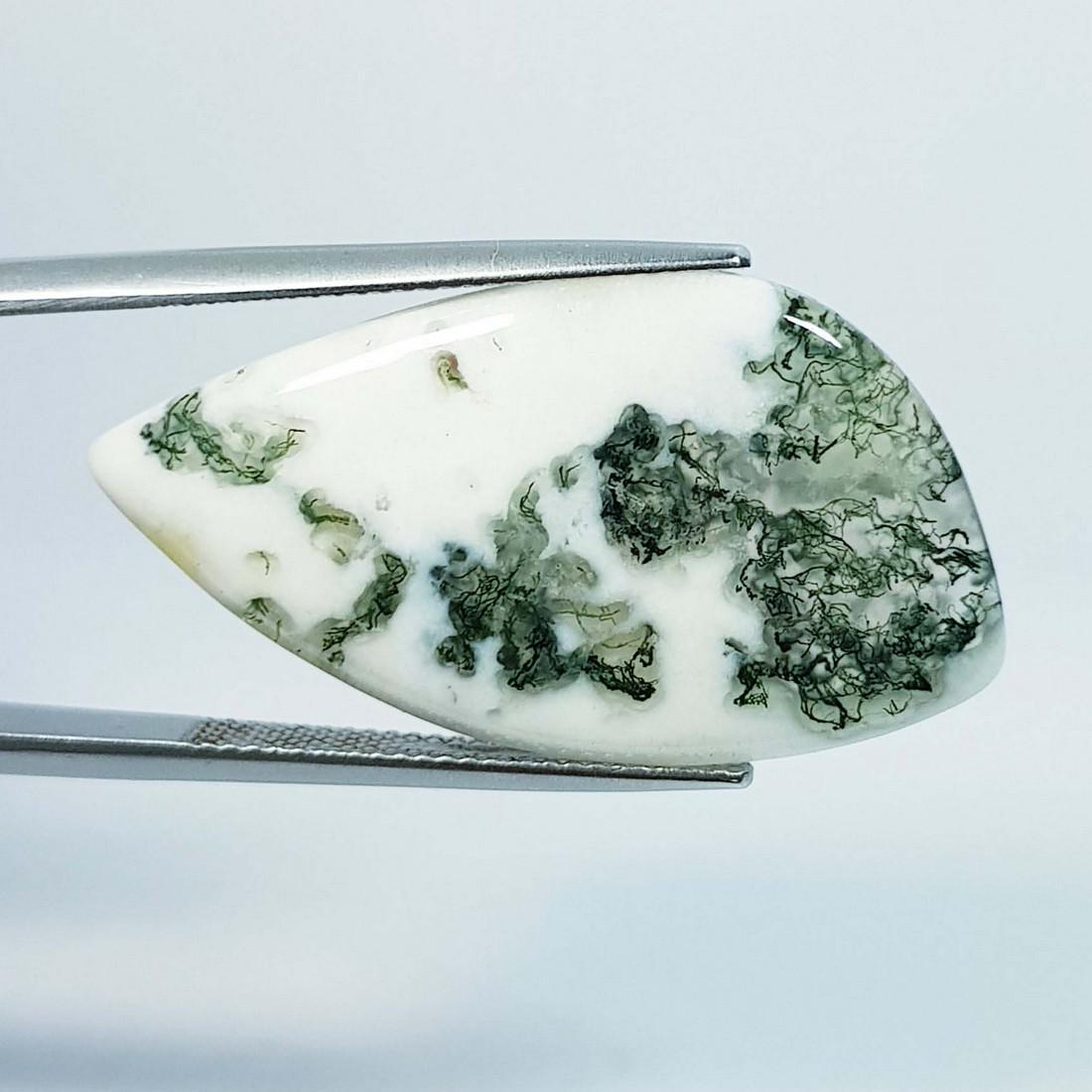 18.88 Ctz Natural Tree Jasper (1 of 4)