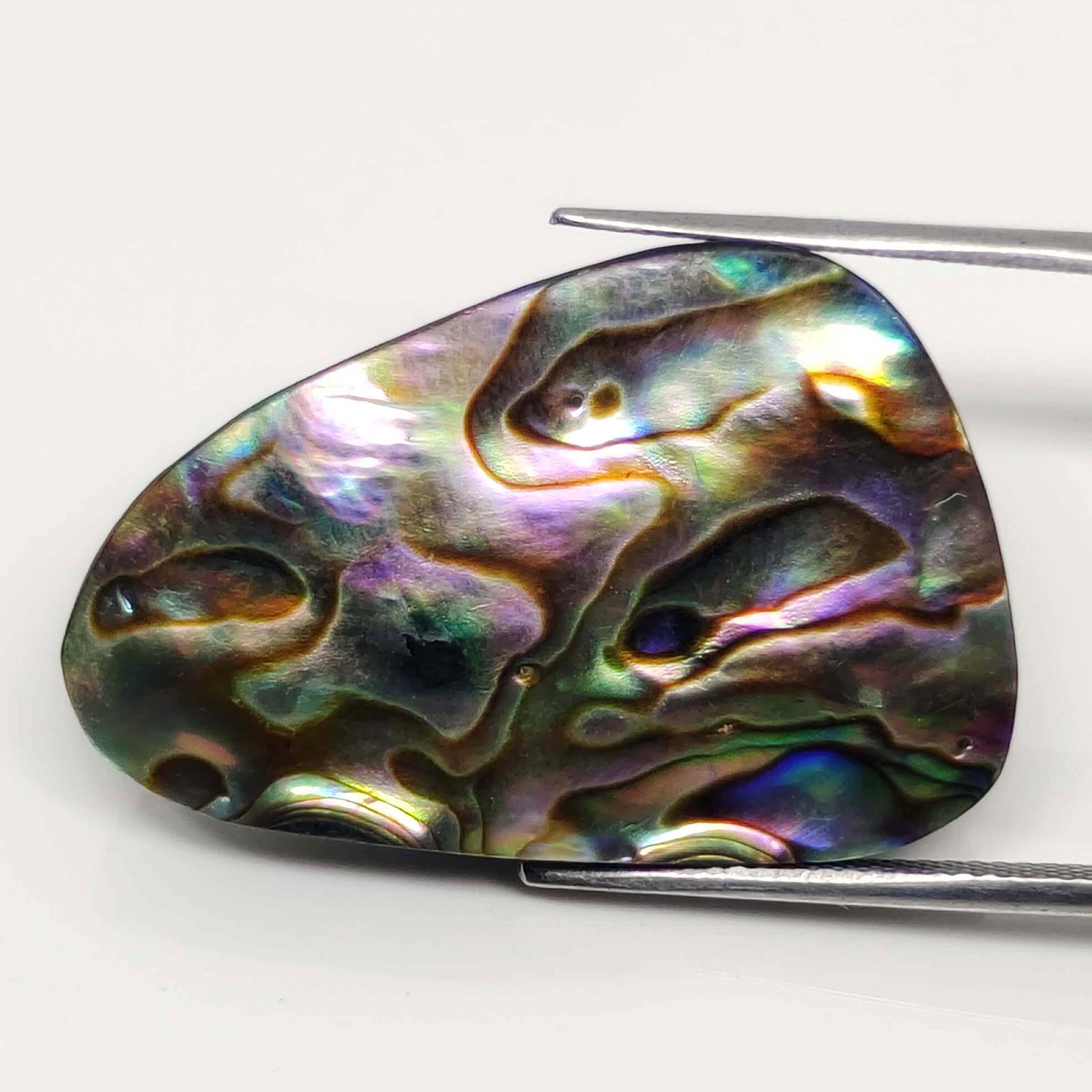 28.25 ct Natural Australian Abalone Shell (1 of 2)