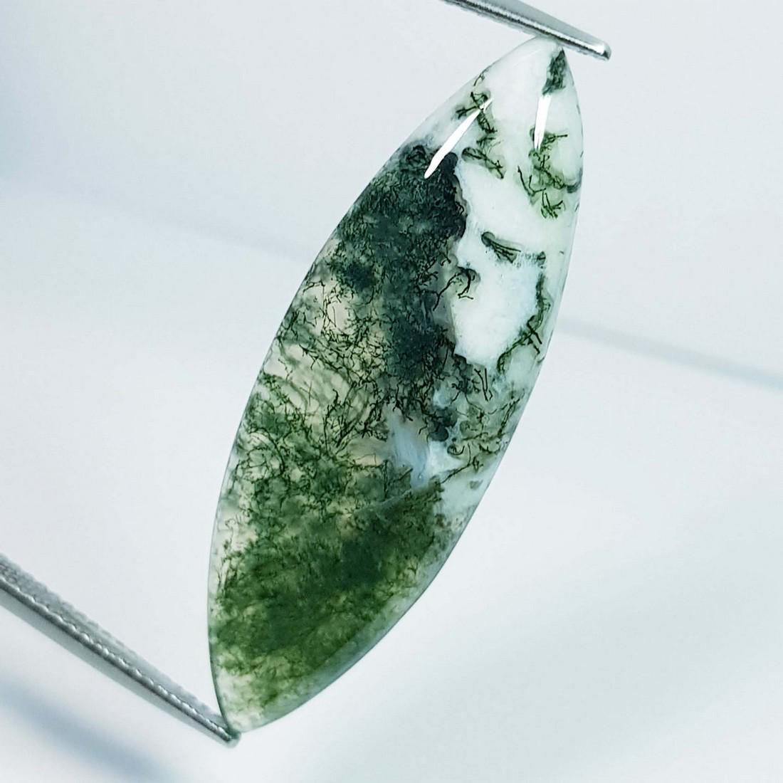 18.83 Ctz Natural Tree Jasper (1 of 4)