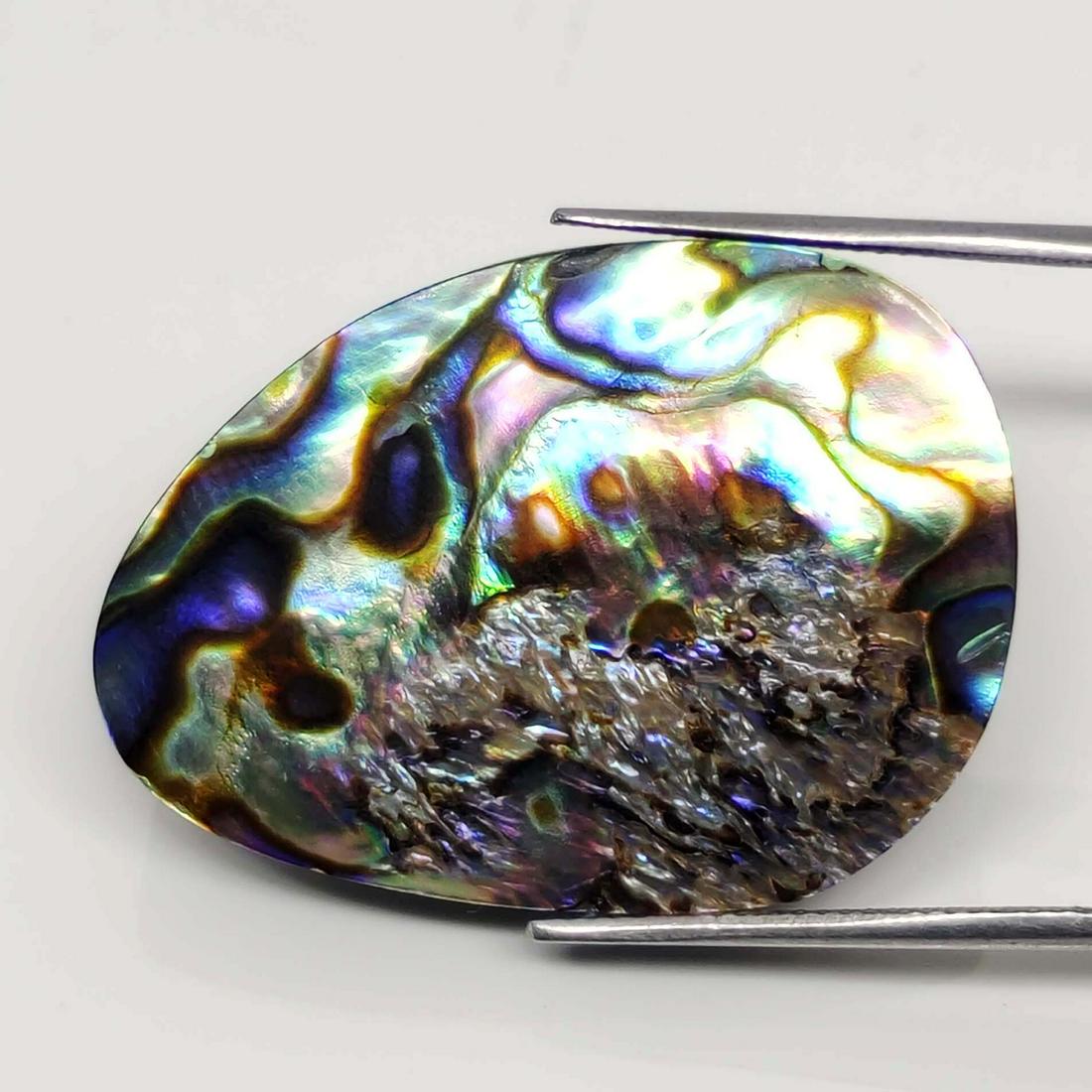 43.60 ct Natural Australian Abalone Shell (1 of 2)