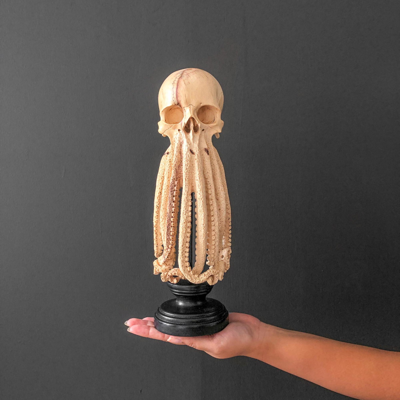Tamarind Wood Skull with hand-carved tentacles: Title: Tamarind Wood Skull with hand-carved tentacles Maker: Unknown Origin: Indonesia Date/Period: 2022 Materials: Tamarindus, Wood, Steel Dimensions:Height including stand: 31 cm / 12.2 inches W: 10