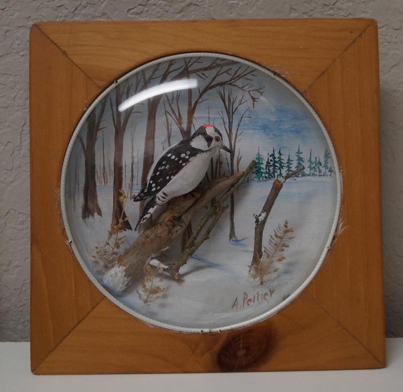 Downy Woodpecker Carving Diorama Arthur Peltier: Title: Downy Woodpecker Carving Diorama Arthur Peltier Provenance/Additional Info: Diorama of an exceptional Male Downy Woodpecker in its natural winter setting under convex glass by Arthur Peltier (1