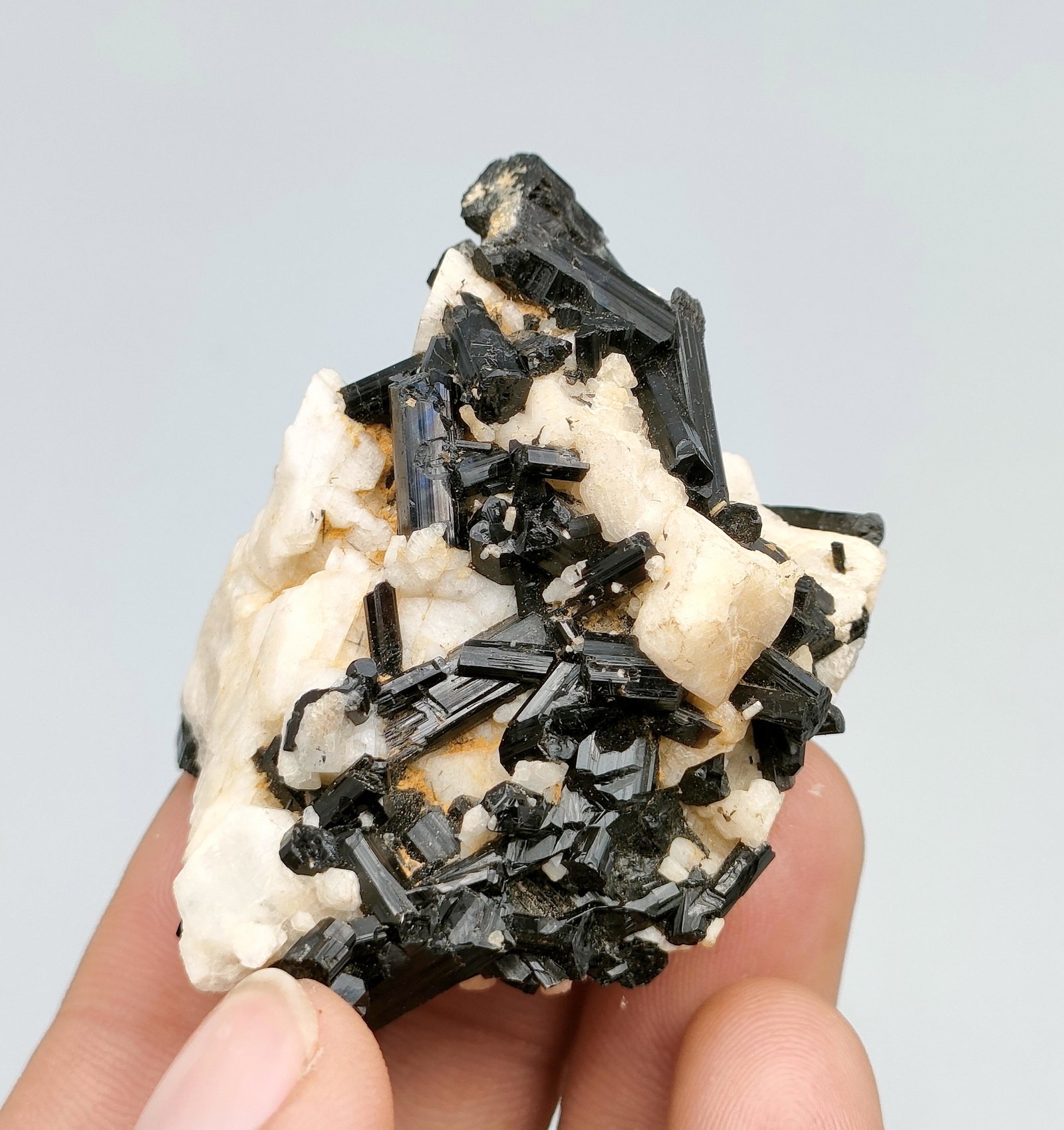 54 Gram Attractive Natural Black Tourmaline With Mica Specimen: Title: 54 Gram Attractive Natural Black Tourmaline With Mica Specimen Treatment: Natural Weight: 54 Gram Size/Dimensions: 55x39x26 mm Origin: Pakistan Reserve: $20.00 Shipping: Domestic: Flat-rate of 