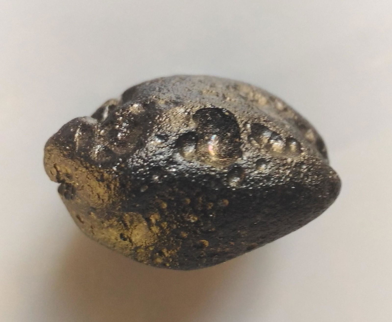 PHILIPPINITE TEKTITE - FROM METEORITE IMPACT: Title: PHILIPPINITE TEKTITE - FROM METEORITE IMPACT Origin: Paracale, Camarines Norte, Luzon, Philippines Size: 3.5x2.5x1.5 cm / 13 gram Description: flattened irregular rounded philippinite tektite w