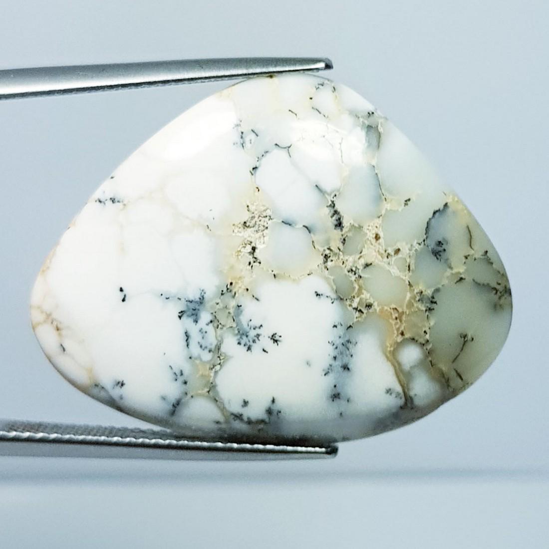 19.87 ctz Natural Dendritic opal (1 of 4)