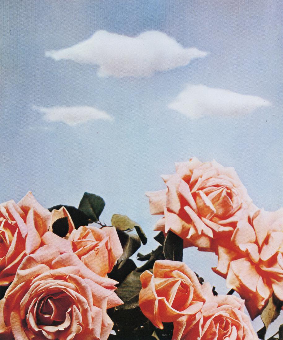 PAUL OUTERBRIDGE - Roses and Clouds, 1937 (1 of 1)