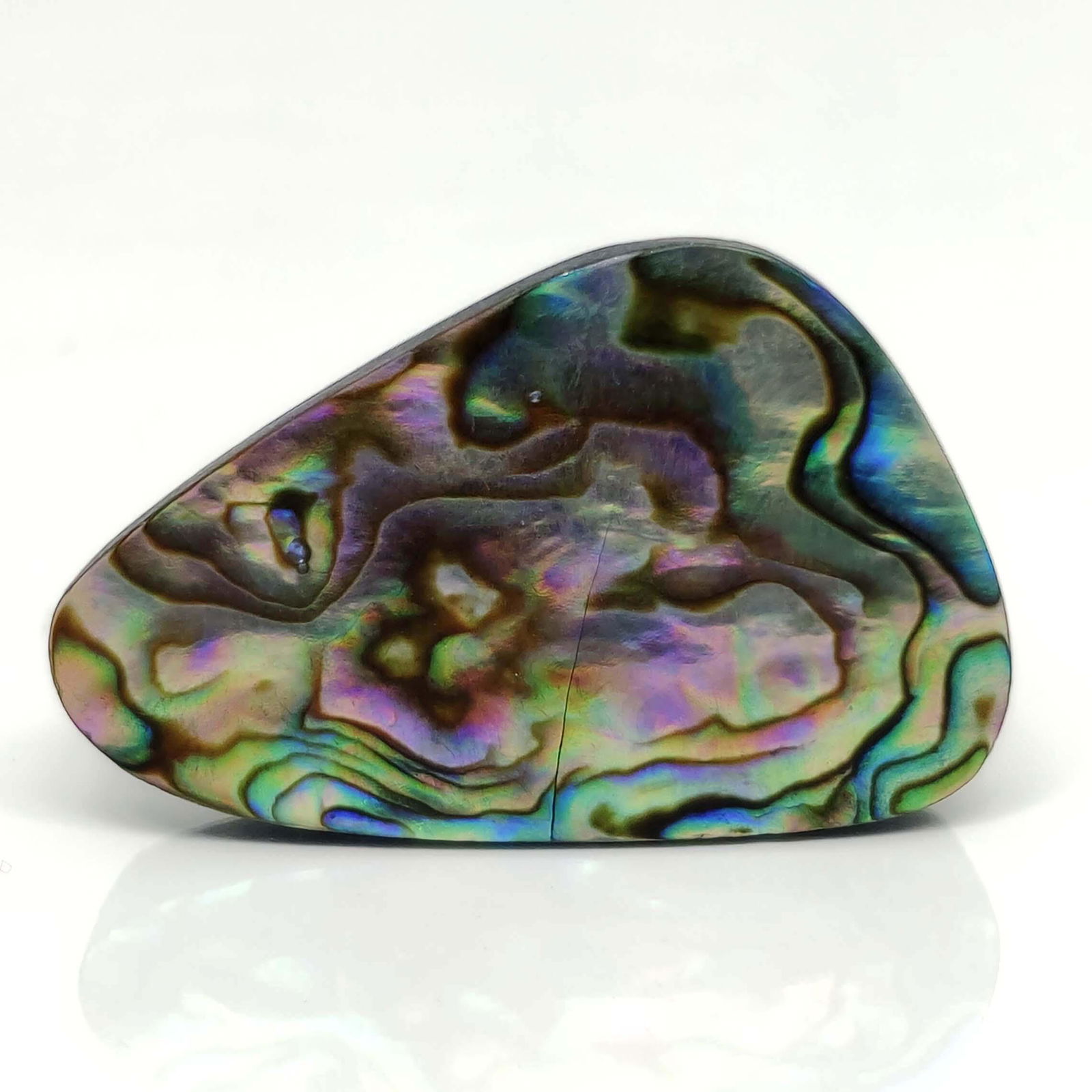 35.55 ct Natural Australian Abalone Shell (1 of 2)