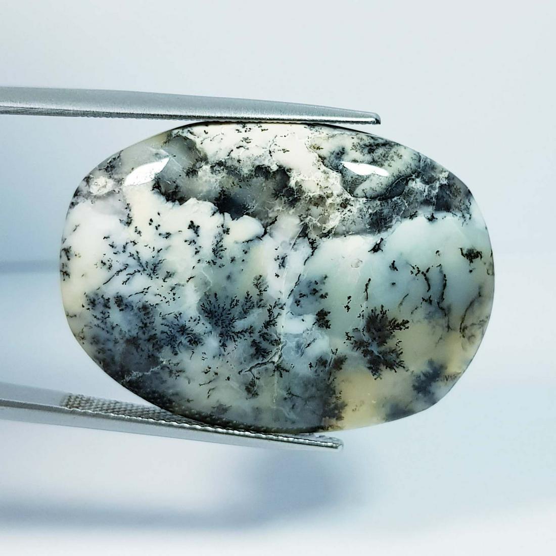 27.12 ctz Natural Dendritic Opal (1 of 4)