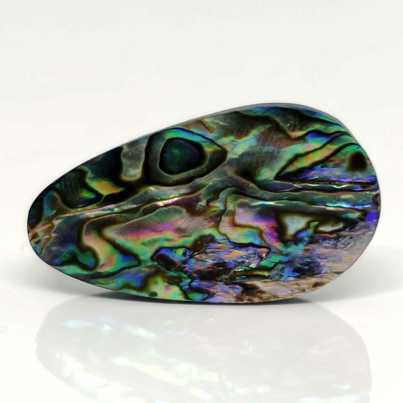 31.95 ct Natural Australian Abalone Shell (1 of 2)