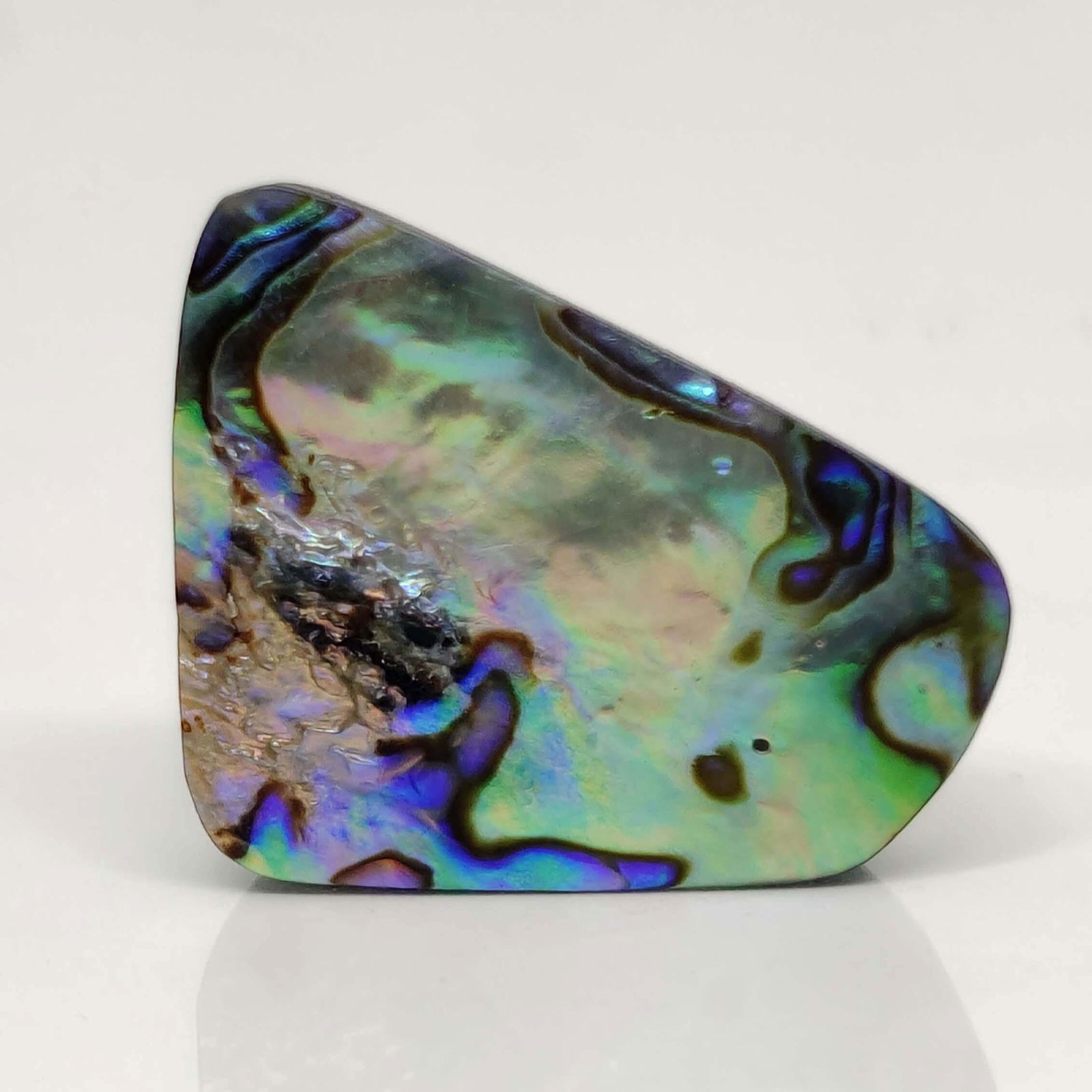 25.35 ct Natural Australian Abalone Shell (1 of 2)