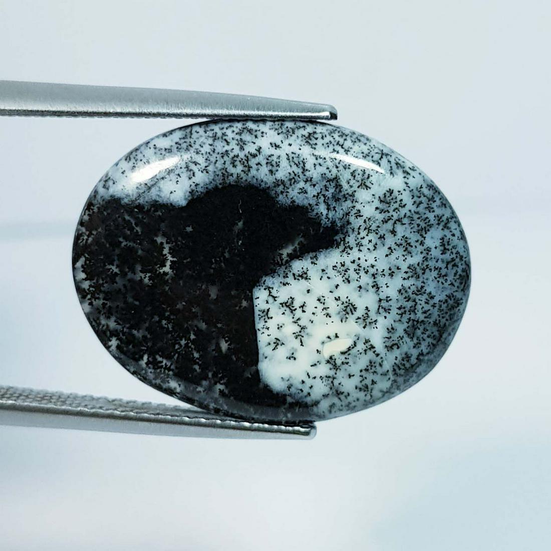 12.37 ctz Natural Dendritic Opal (1 of 4)