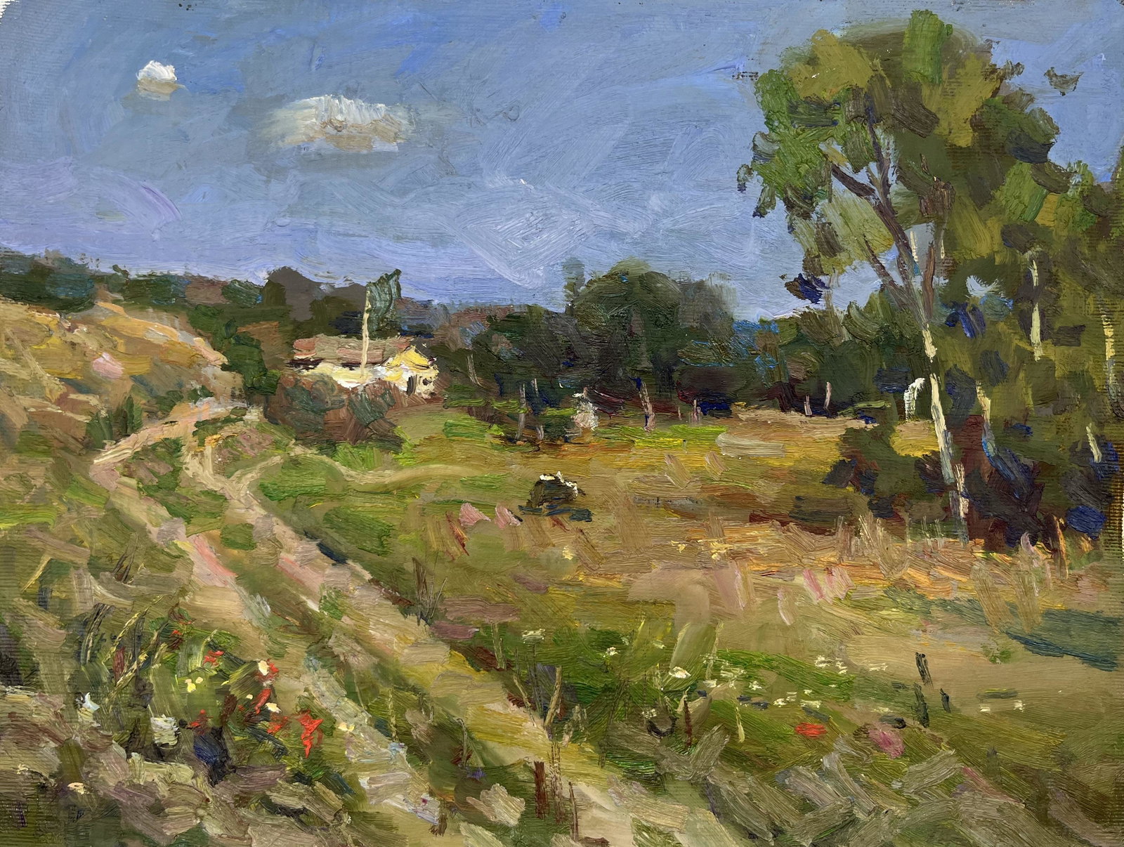 Oil painting a path from the forest Sergey Ivanovich: 53DDD Painter: Sergey Ivanovich Animov SÑ–ze: 35x25 cm/13.8x9.84 inches Components: canvas, oil Original painting from our collection ERA: modern About the artist: Serhiy Ivanovych was born on May 