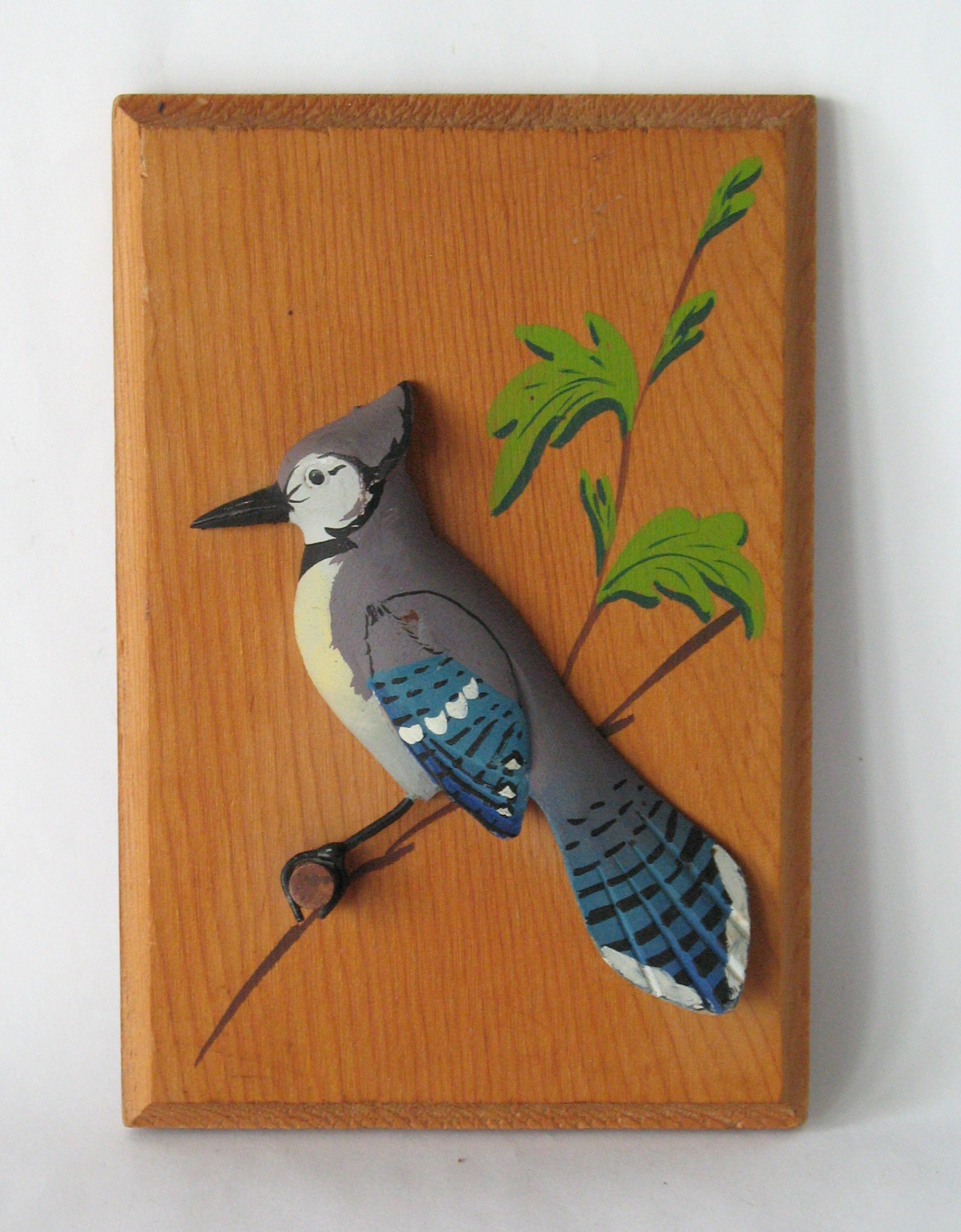 Vintage Blue Jay diorama St. Petersberg, FL: Title: Vintage Blue Jay diorama St. Petersberg, FL Date/Period: 1960's Dimension: 6” x 4” Additional Information: Nice vintage Blue Jay diorama made by Jonathan Jones St. Petersberg, FL in